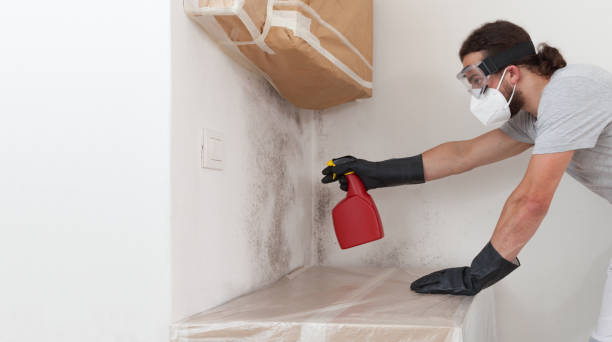 Professional Black Mold Remediation technician working in Wyoming, MI