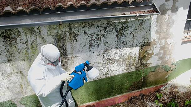 Top rated local Black Mold Remediation specialists in Wyoming, MI